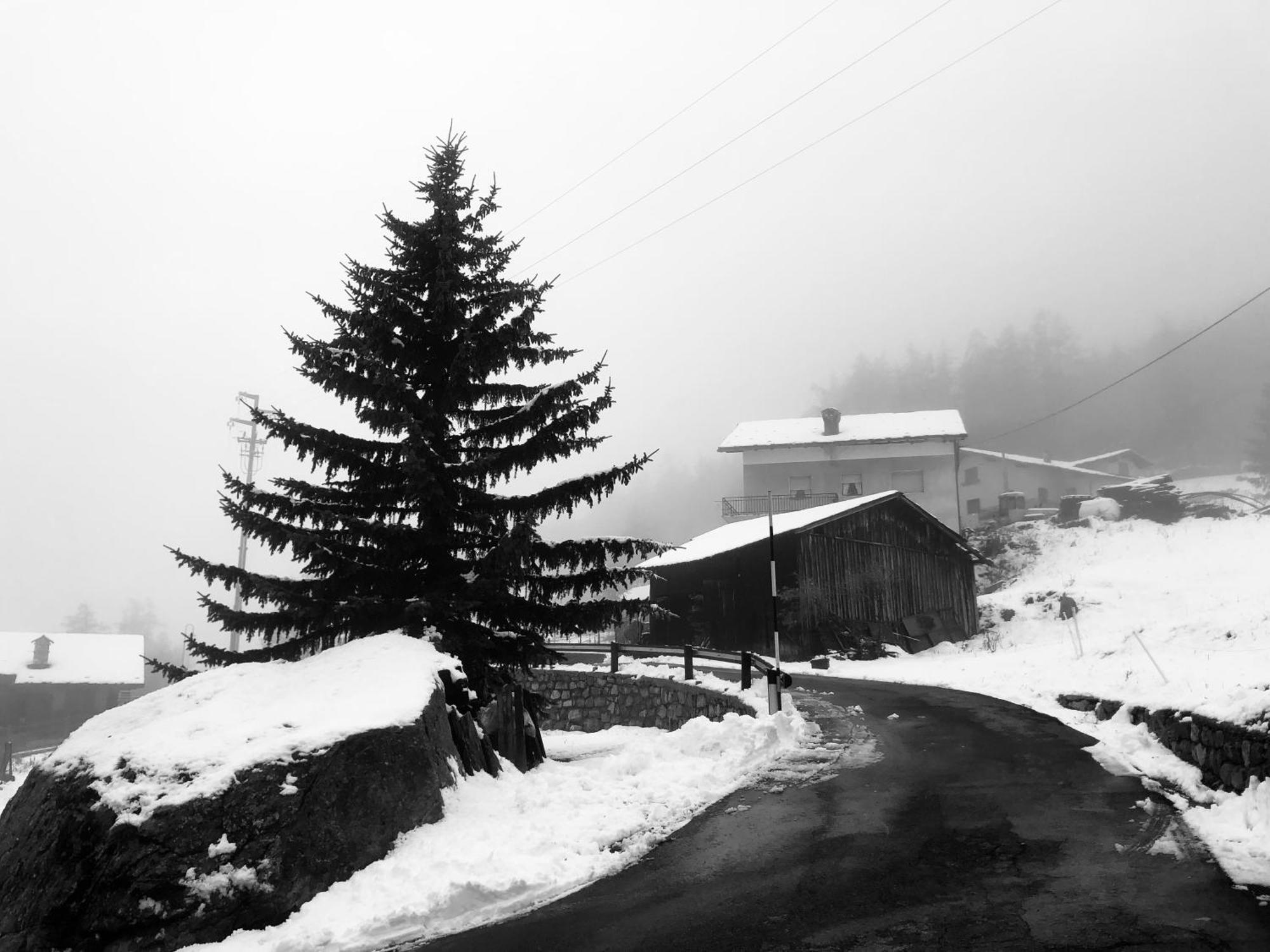 Maison Constance Bionaz Dış mekan fotoğraf